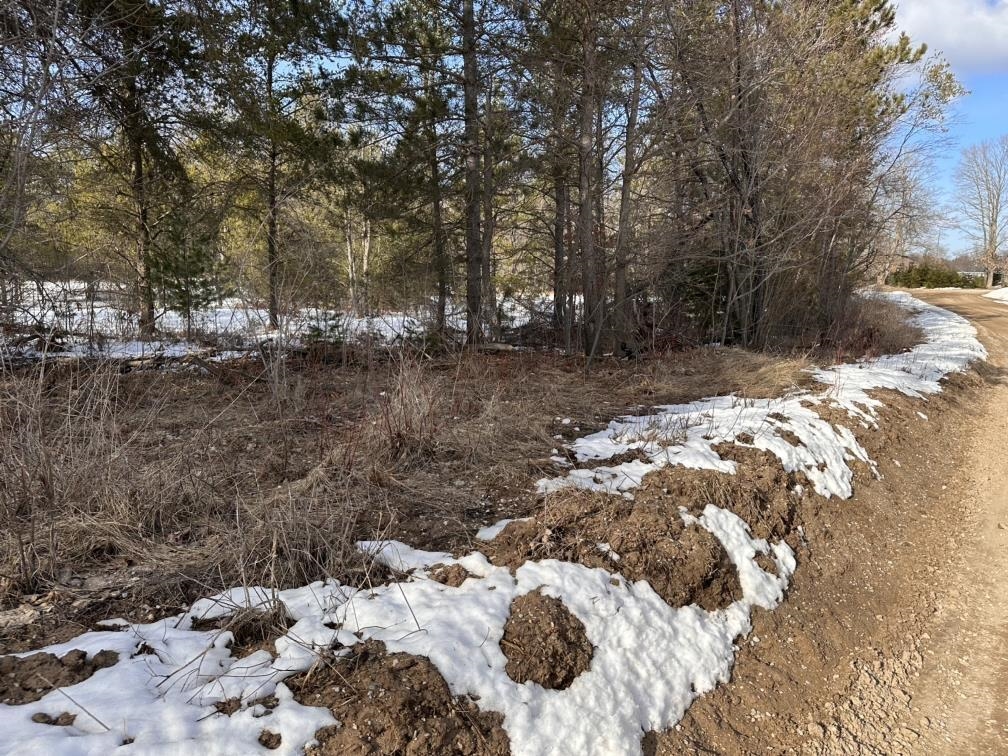 Lot C Betsie River Road Interlochen, MI 49643 - Photo 6 of 6 Gallery Image 6