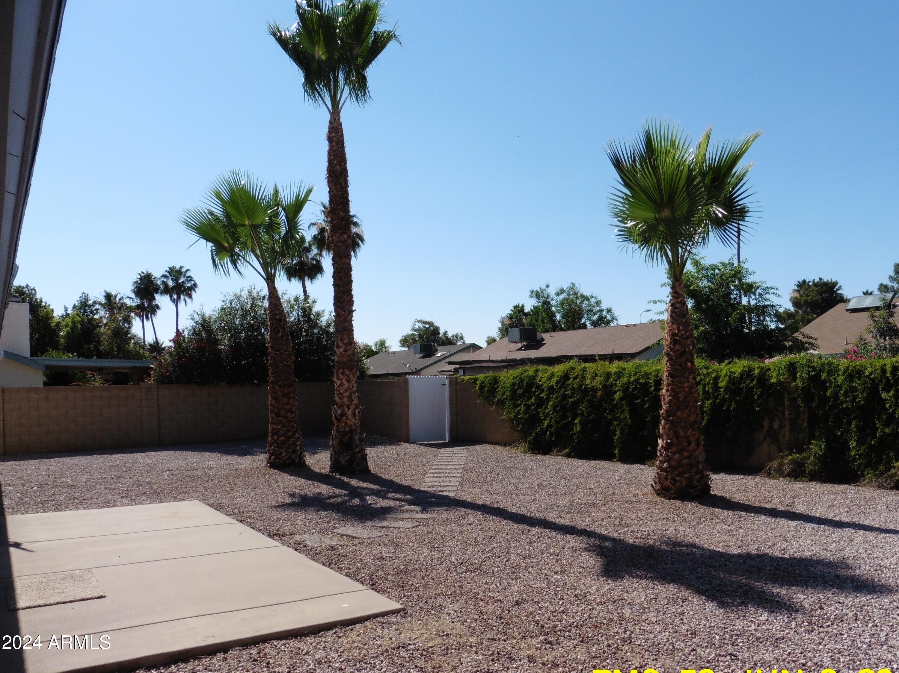 1856 West Manor Street Chandler, AZ 85224 - Photo 13 of 14 Back Yard