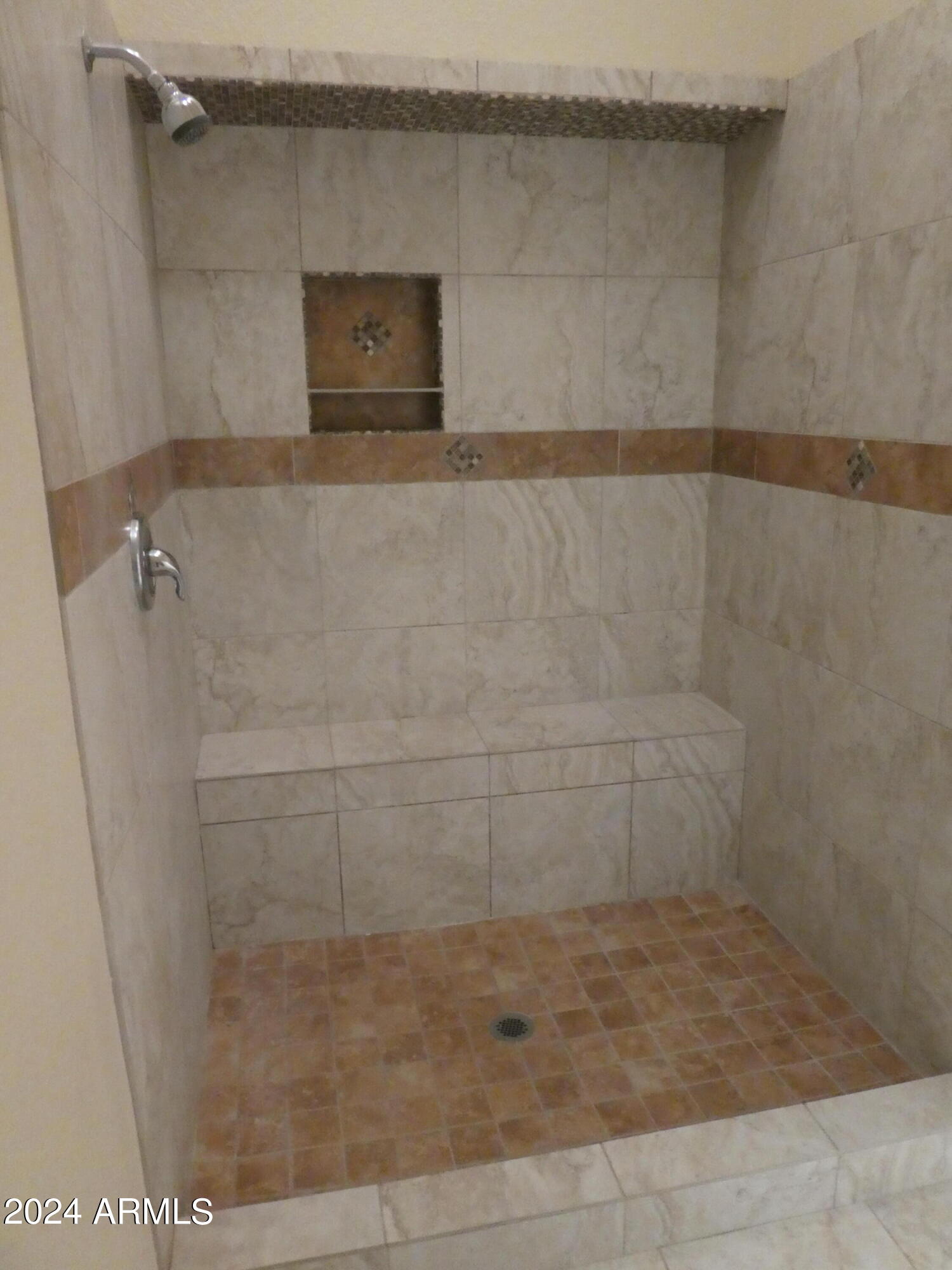 1856 West Manor Street Chandler, AZ 85224 - Photo 10 of 14 Custom Master Shower