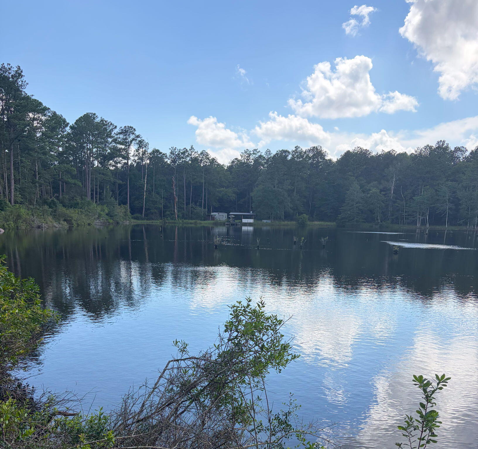 82 Acres 4 Flags Road Laurel Hill, FL 32567 - Photo 42 of 45 39-web-or-mls-IMG_1846