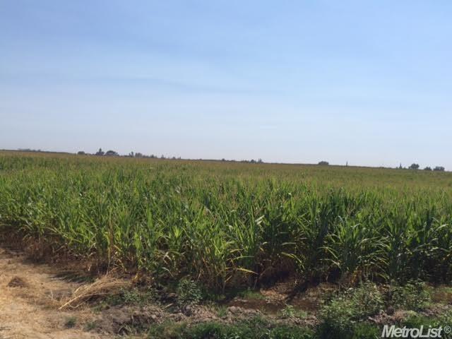 716 North Daubenberger Road Turlock, CA 95380 - Photo 14 of 18