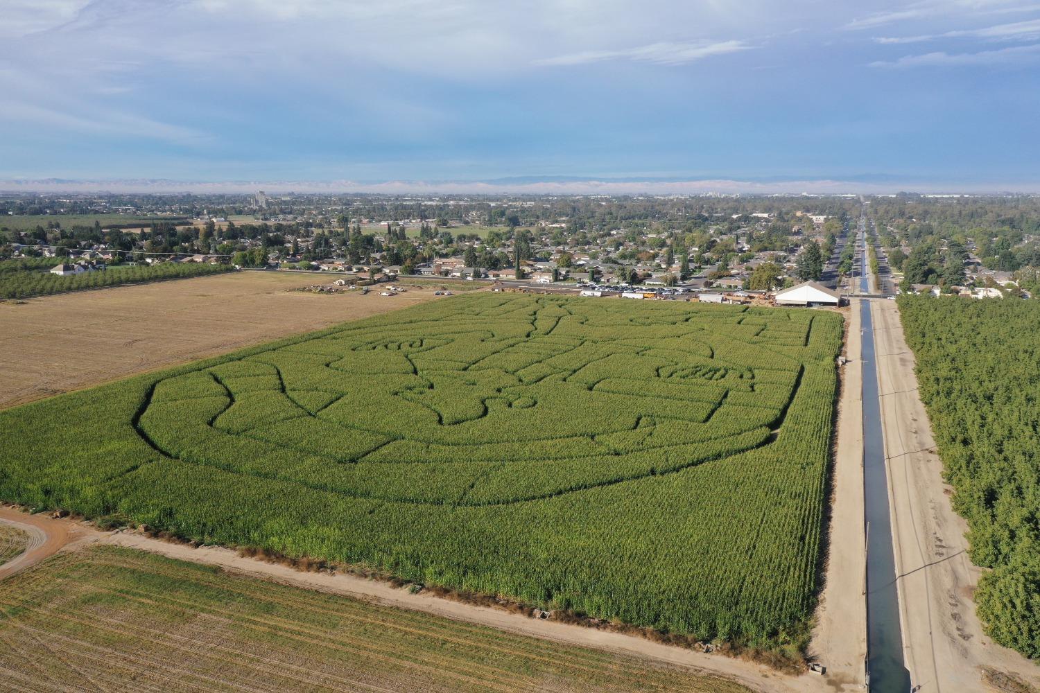 716 North Daubenberger Road Turlock, CA 95380 - Photo 3 of 18