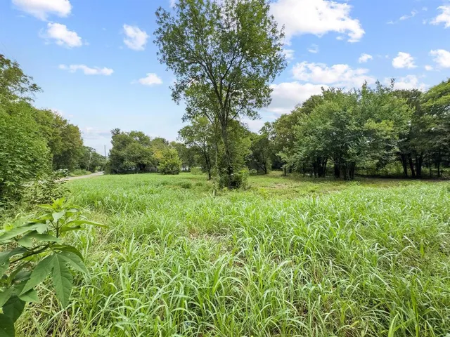 a big yard with lots of green space and plants