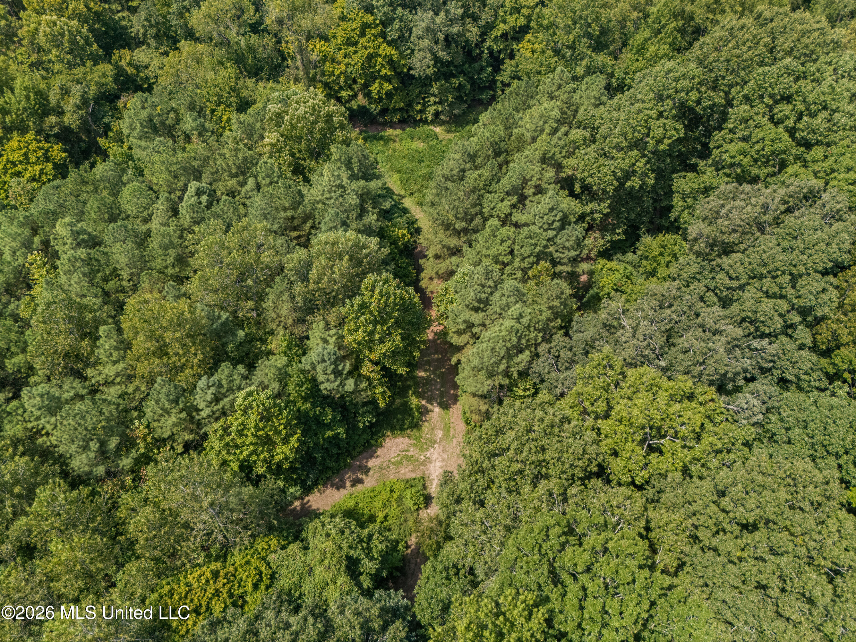 Brownlee Road Sarah, MS 38665 - Photo 14 of 20 16_dji_20260824125653_0132_d_print