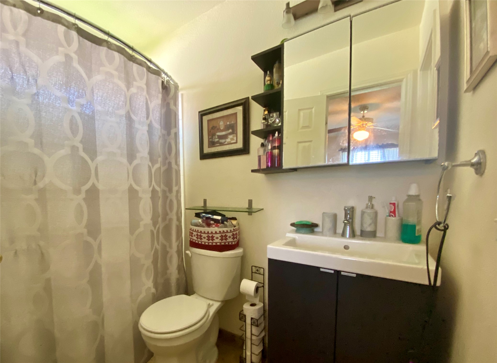 14420 Cummins Way Manor, TX 78653 - Photo 13 of 20 Compact bathroom featuring a shower enclosure, white toilet, and a vanity with a white basin and dark cabinetry