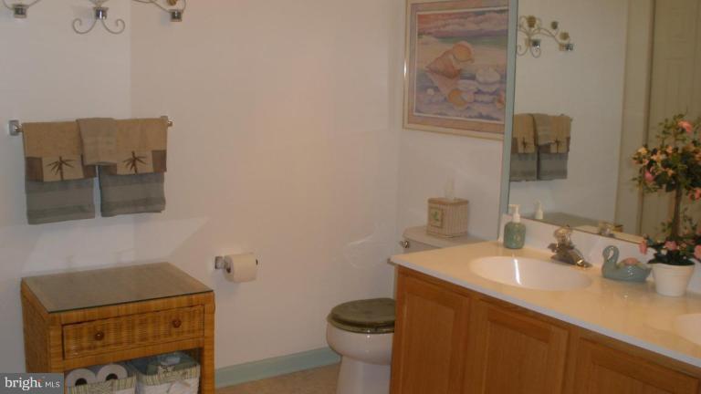 4986 Brightleaf Court, Unit 4986 Rosedale, MD 21237 - Photo 22 of 23 Master Bath