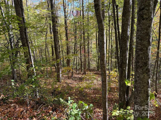 a view of outdoor space and garden