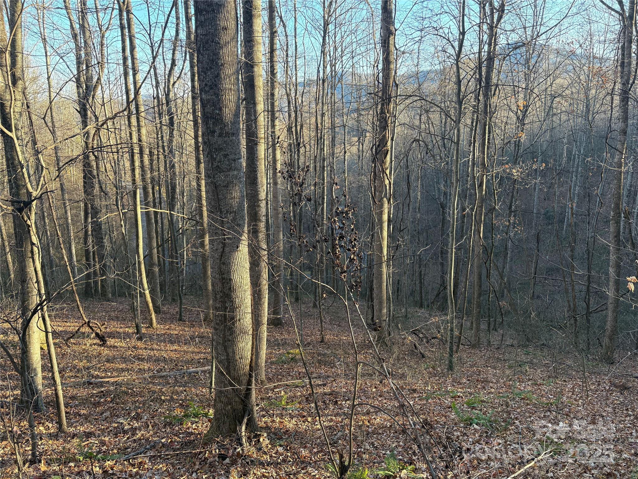28 Cadillac Pt Road, Unit POINTE Waynesville, NC 28785 - Photo 1 of 22