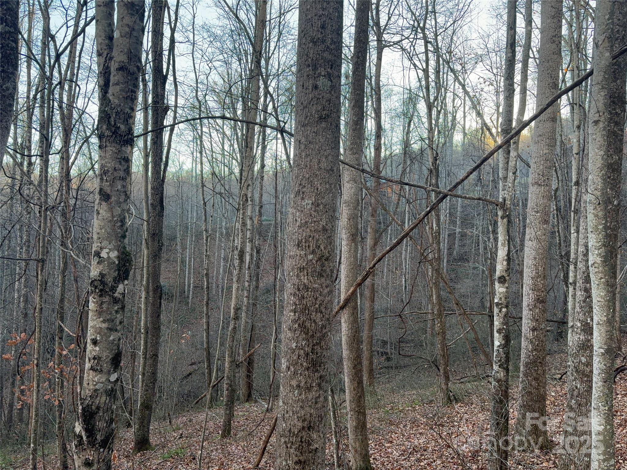 28 Cadillac Pt Road, Unit POINTE Waynesville, NC 28785 - Photo 11 of 22