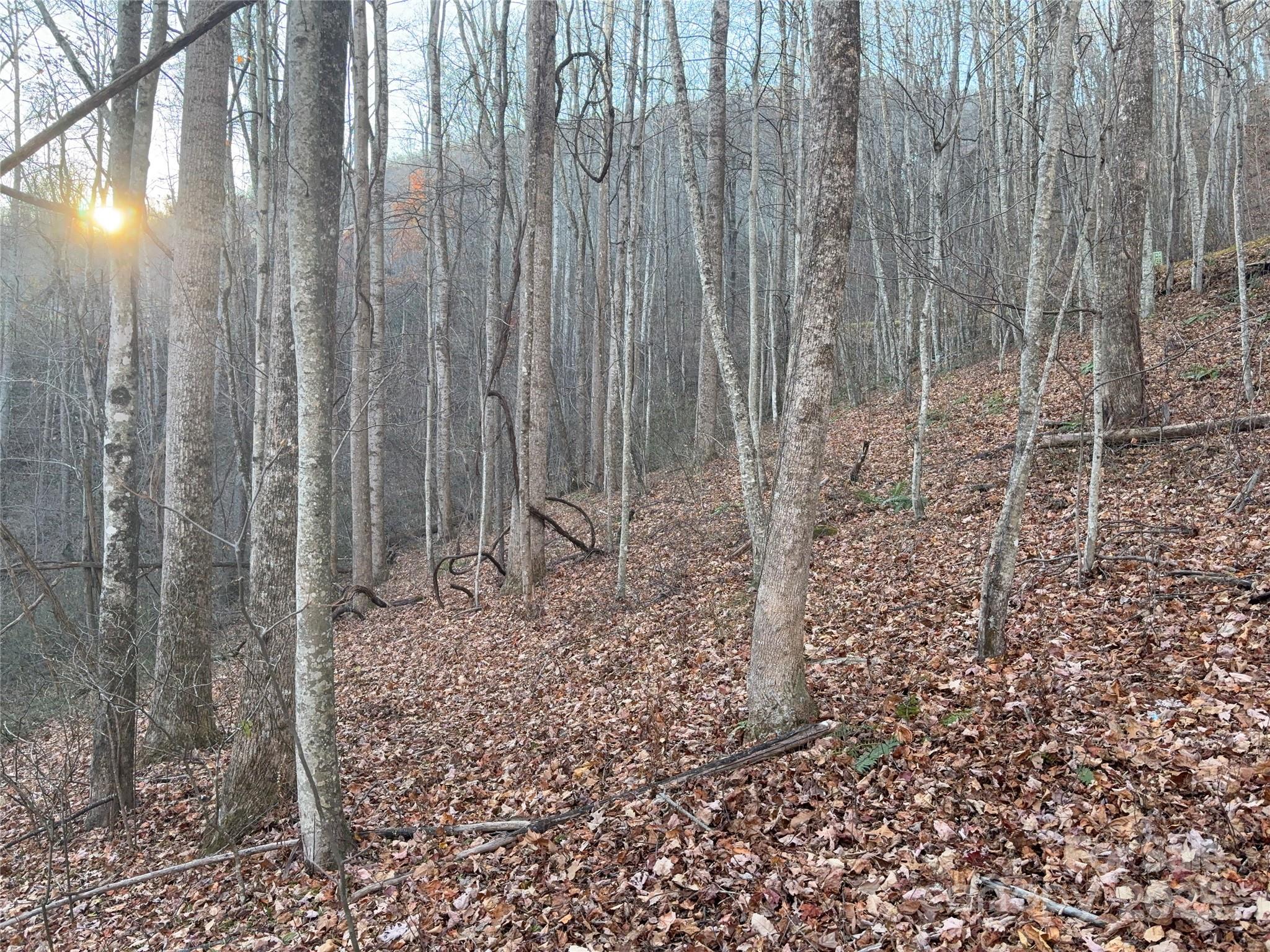 28 Cadillac Pt Road, Unit POINTE Waynesville, NC 28785 - Photo 12 of 22 a view of a pathway with a yard