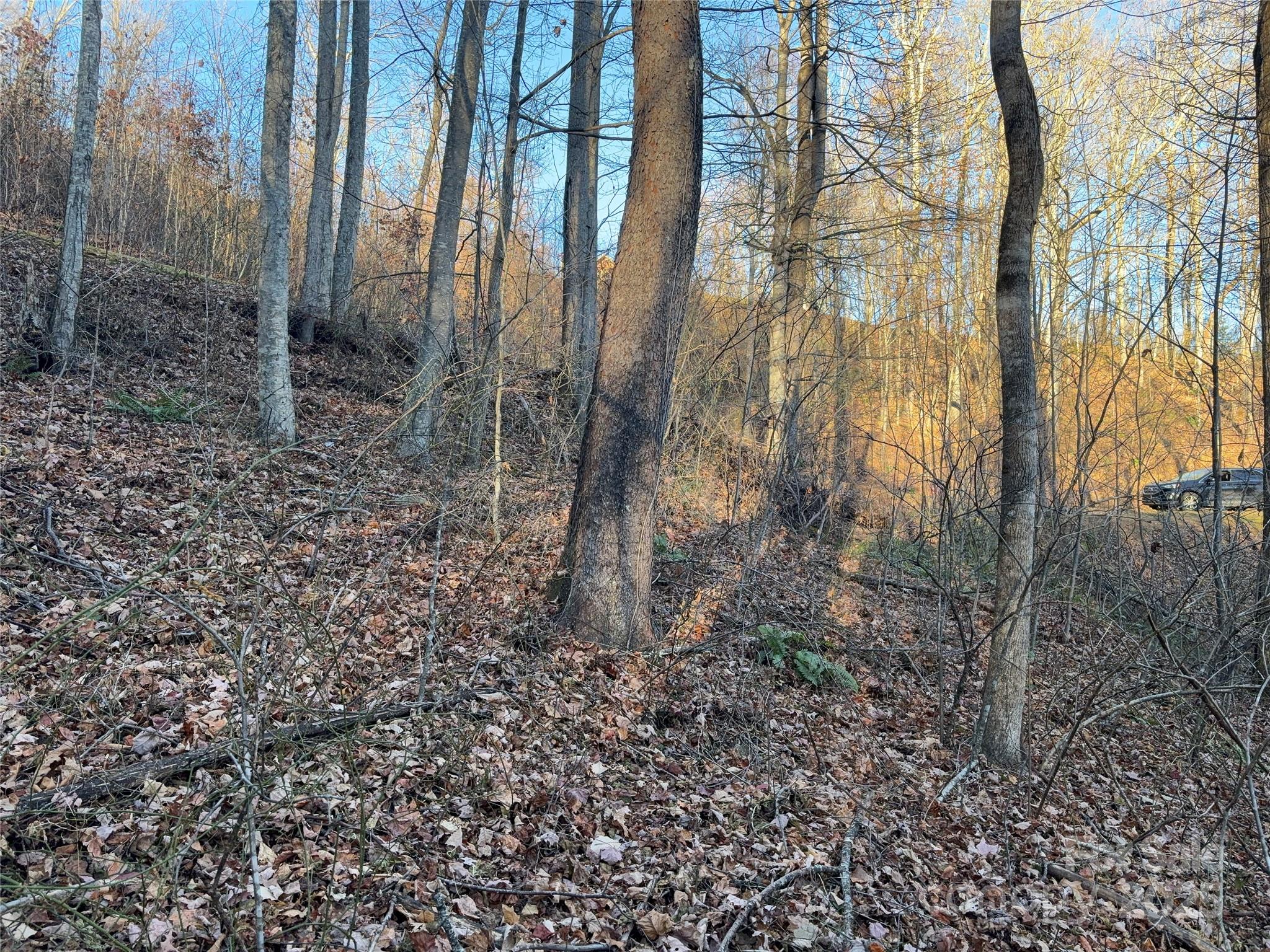 28 Cadillac Pt Road, Unit POINTE Waynesville, NC 28785 - Photo 13 of 22 a view of a forest