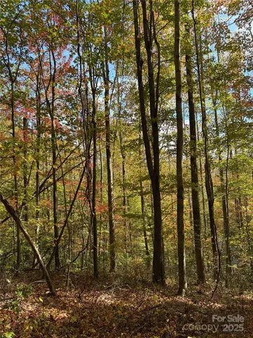 a view of outdoor space and garden