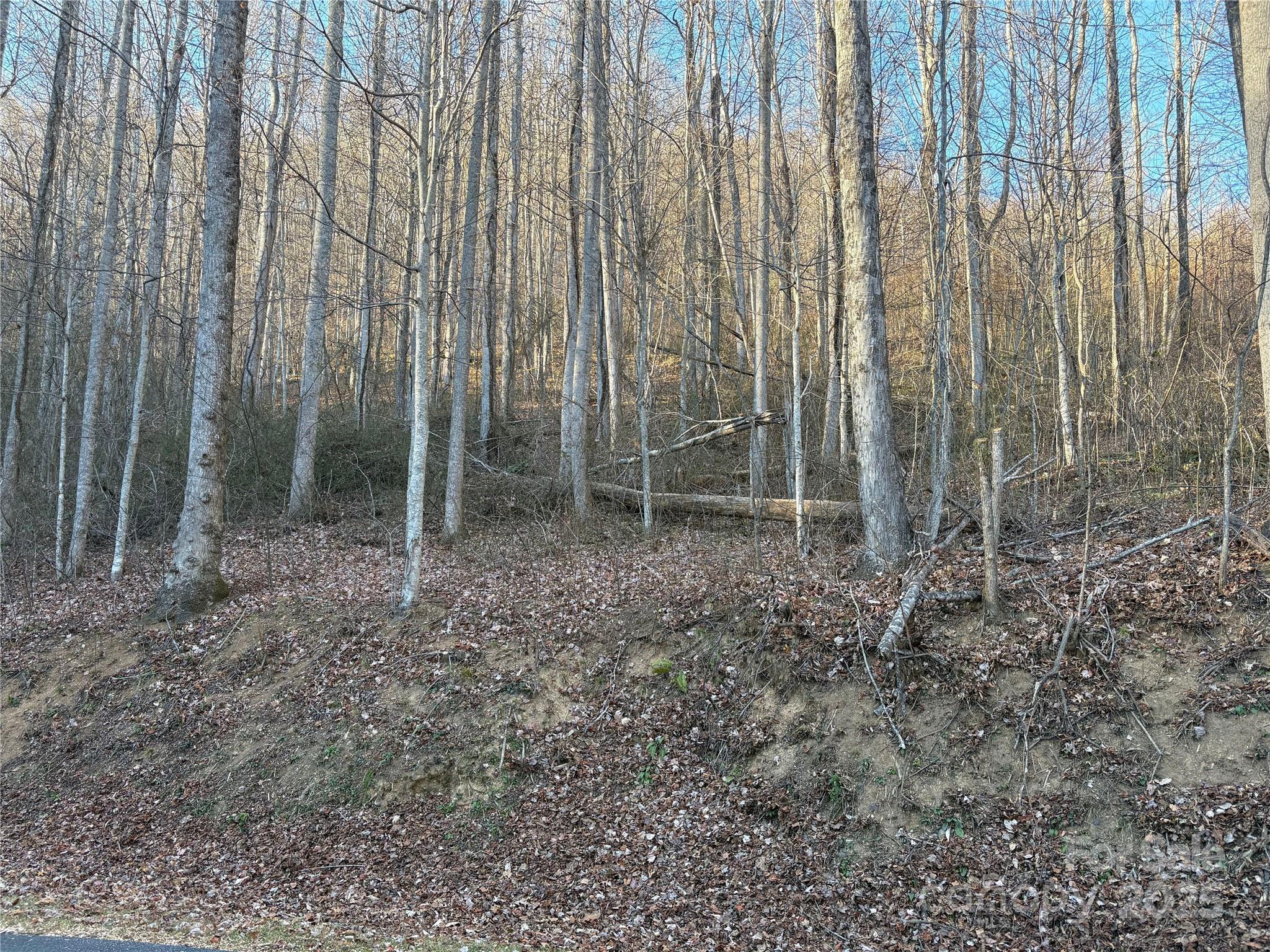 28 Cadillac Pt Road, Unit POINTE Waynesville, NC 28785 - Photo 14 of 22