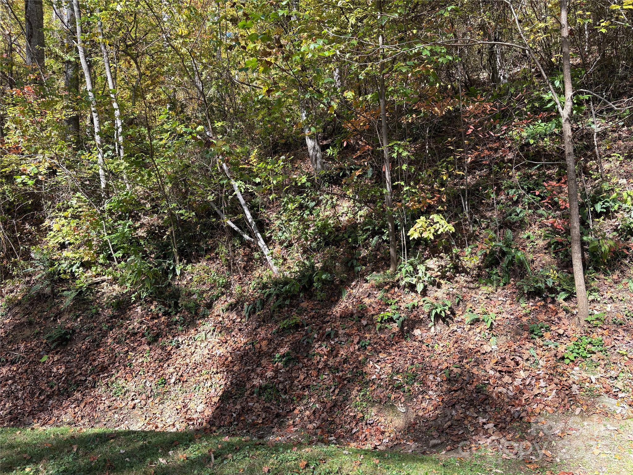 28 Cadillac Pt Road, Unit POINTE Waynesville, NC 28785 - Photo 18 of 22 a view of a yard with a tree