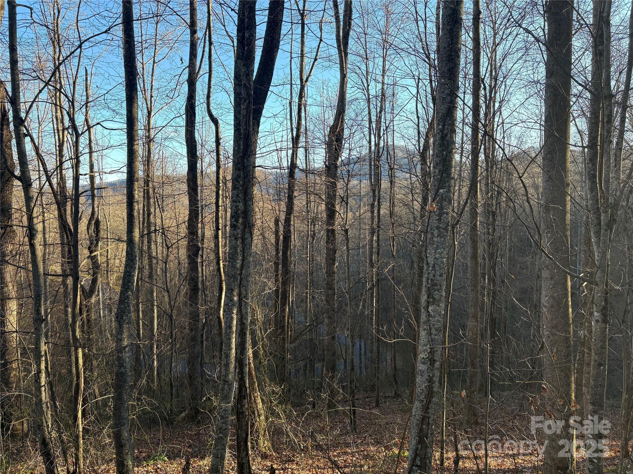 28 Cadillac Pt Road, Unit POINTE Waynesville, NC 28785 - Photo 2 of 22 a view of outdoor space