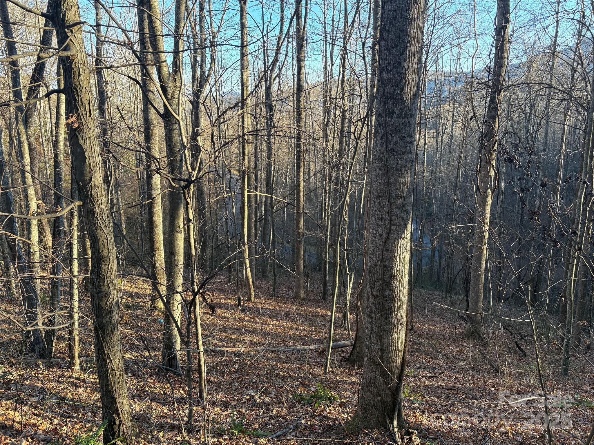 28 Cadillac Pt Road, Unit POINTE Waynesville, NC 28785 - Photo 4 of 22 a view of a pathway of a yard