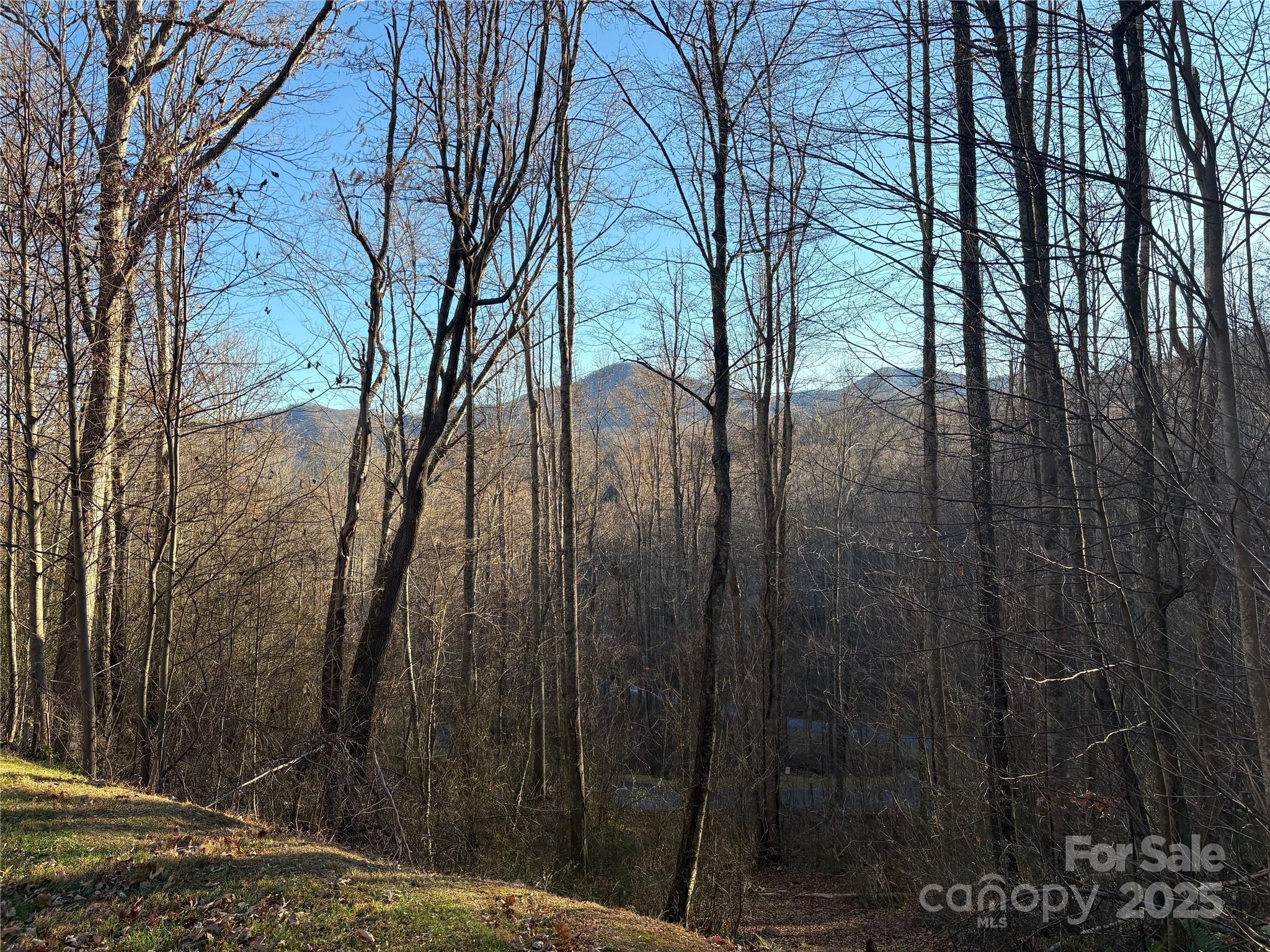 28 Cadillac Pt Road, Unit POINTE Waynesville, NC 28785 - Photo 5 of 22 a backyard of a house with lots of green space