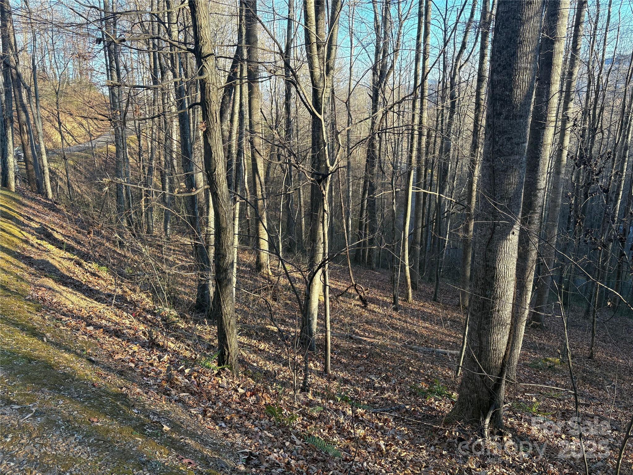 28 Cadillac Pt Road, Unit POINTE Waynesville, NC 28785 - Photo 7 of 22 a view of outdoor space
