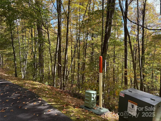 a view of a city with lush green forest