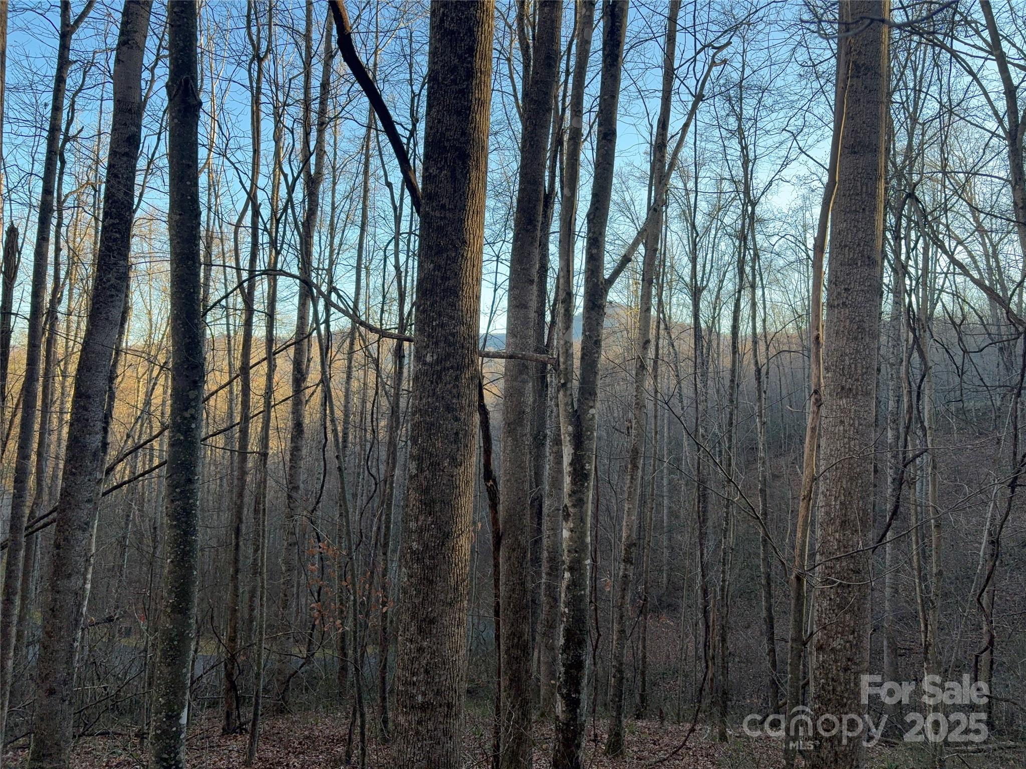 28 Cadillac Pt Road, Unit POINTE Waynesville, NC 28785 - Photo 8 of 22