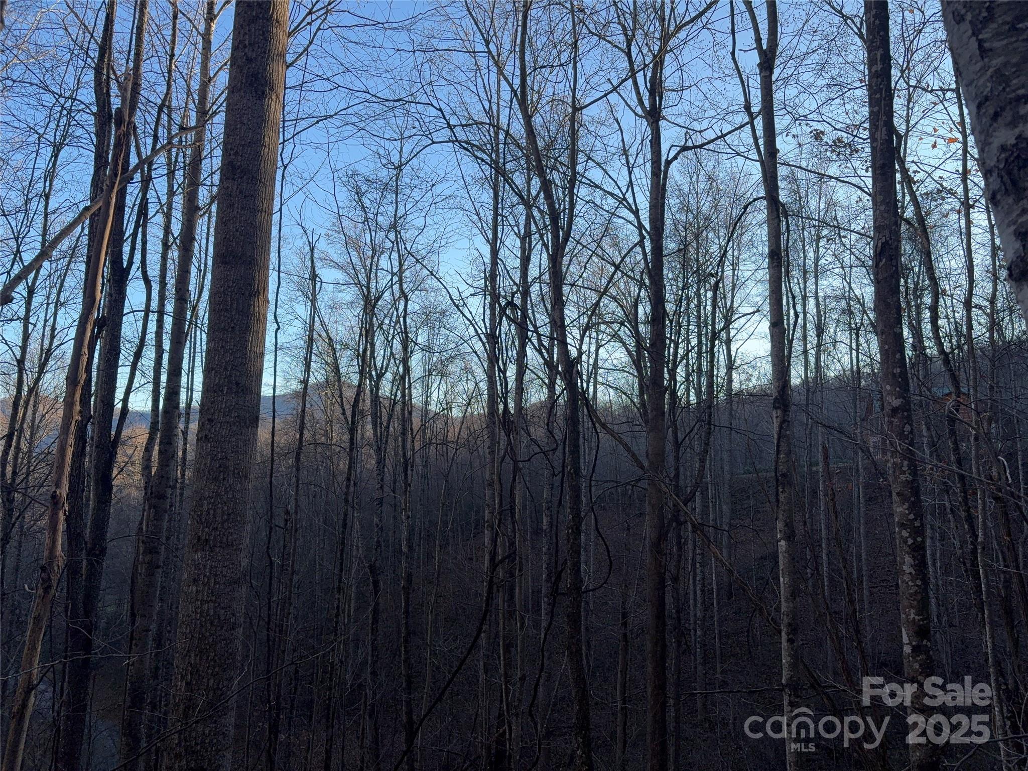 28 Cadillac Pt Road, Unit POINTE Waynesville, NC 28785 - Photo 9 of 22