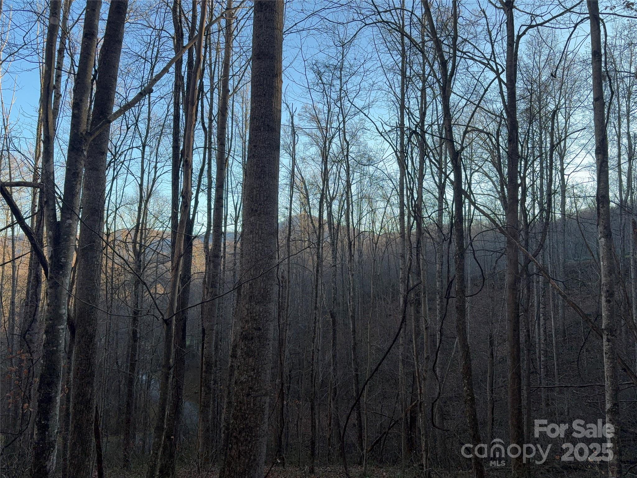 28 Cadillac Pt Road, Unit POINTE Waynesville, NC 28785 - Photo 10 of 22