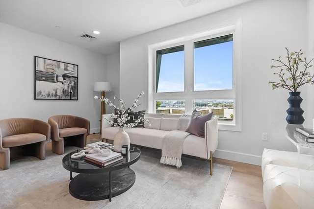 a living room with furniture or couch and a potted plant