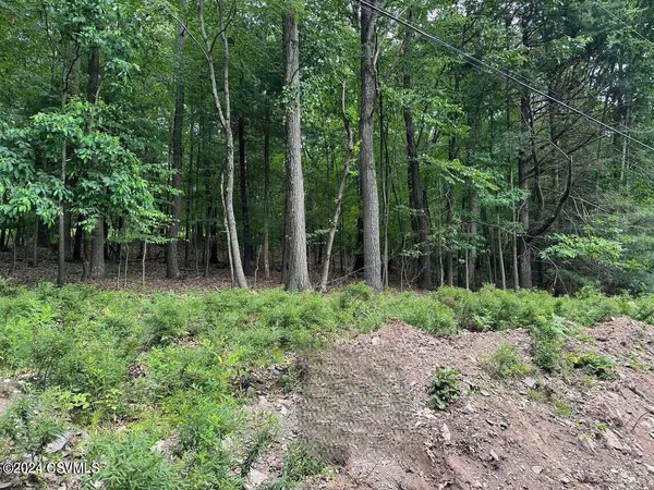 $12,000 | Hemlock Springs Drive, Shickshinny, PA 18655