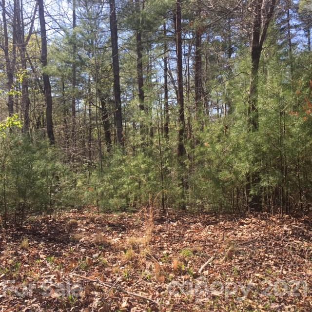 5 Log Cabin Lane Mill Spring, NC 28756 - Photo 1 of 10 a view of a yard with plants and trees