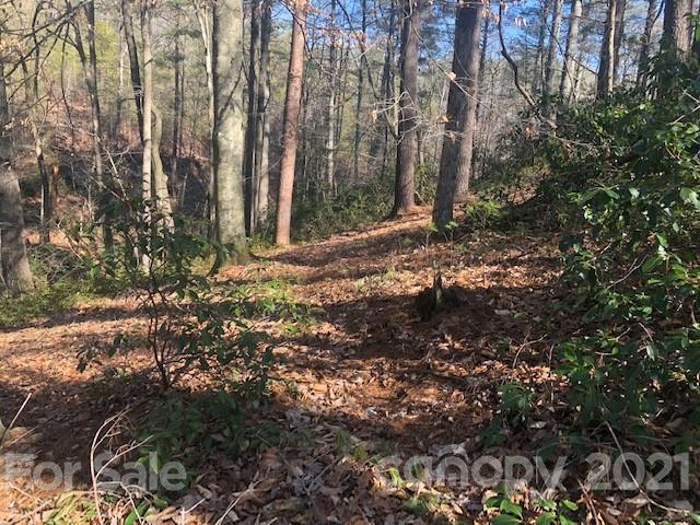 5 Log Cabin Lane Mill Spring, NC 28756 - Photo 5 of 10 a view of trees with plants and trees