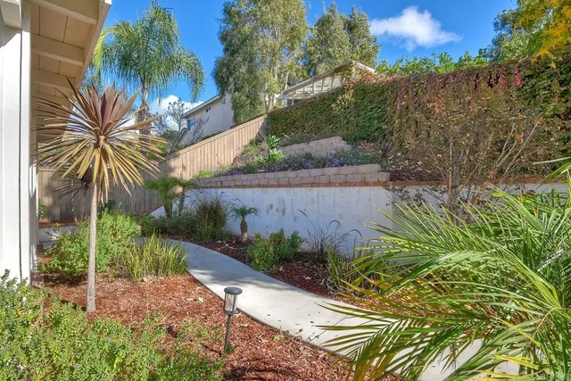 a view of a backyard