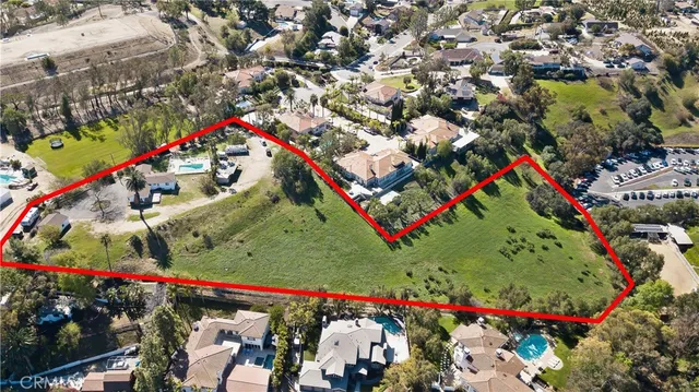 a row of palm trees and lake view