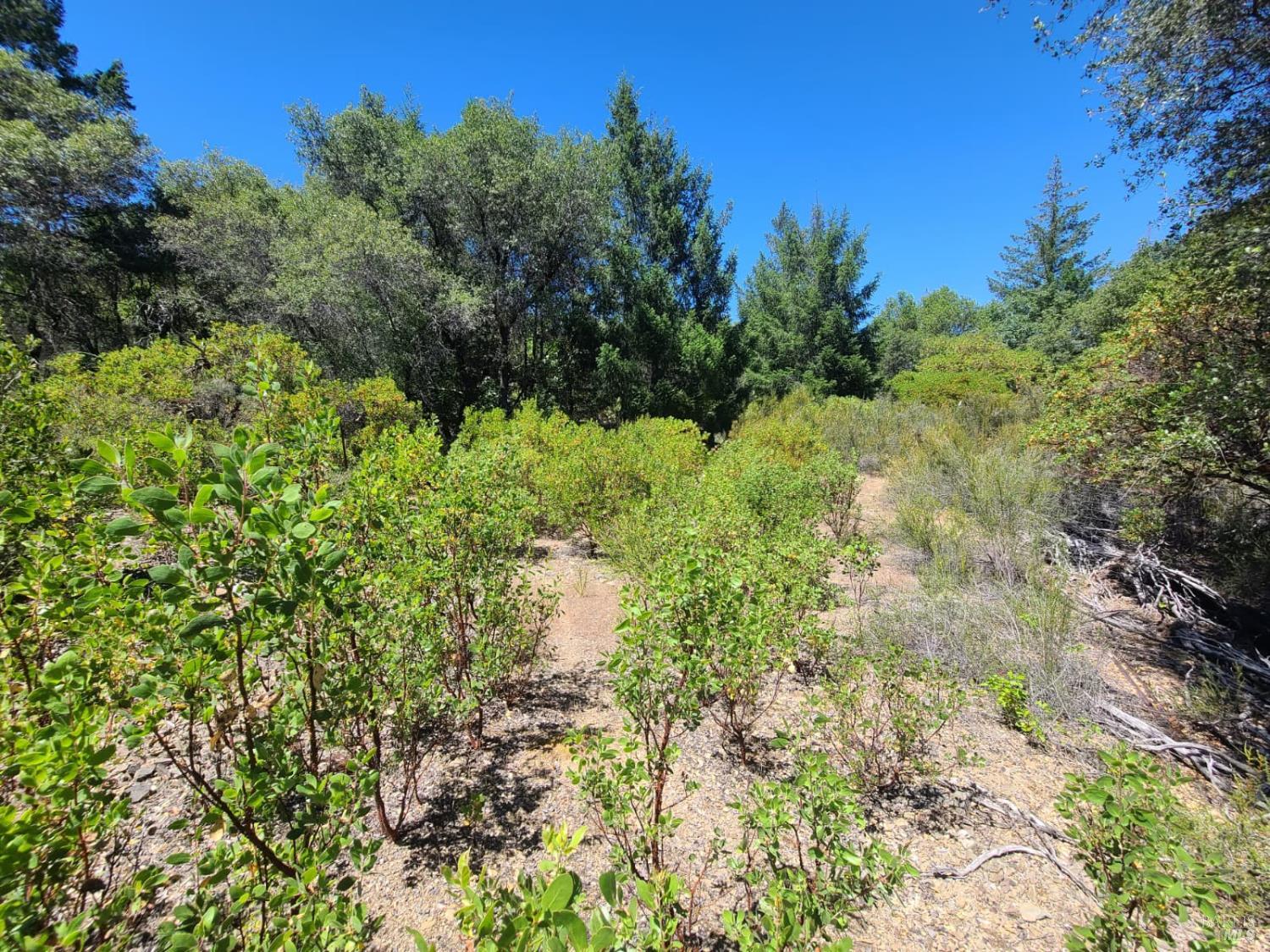 0 Etsel Ridge Road Covelo, CA 95428 - Photo 15 of 18