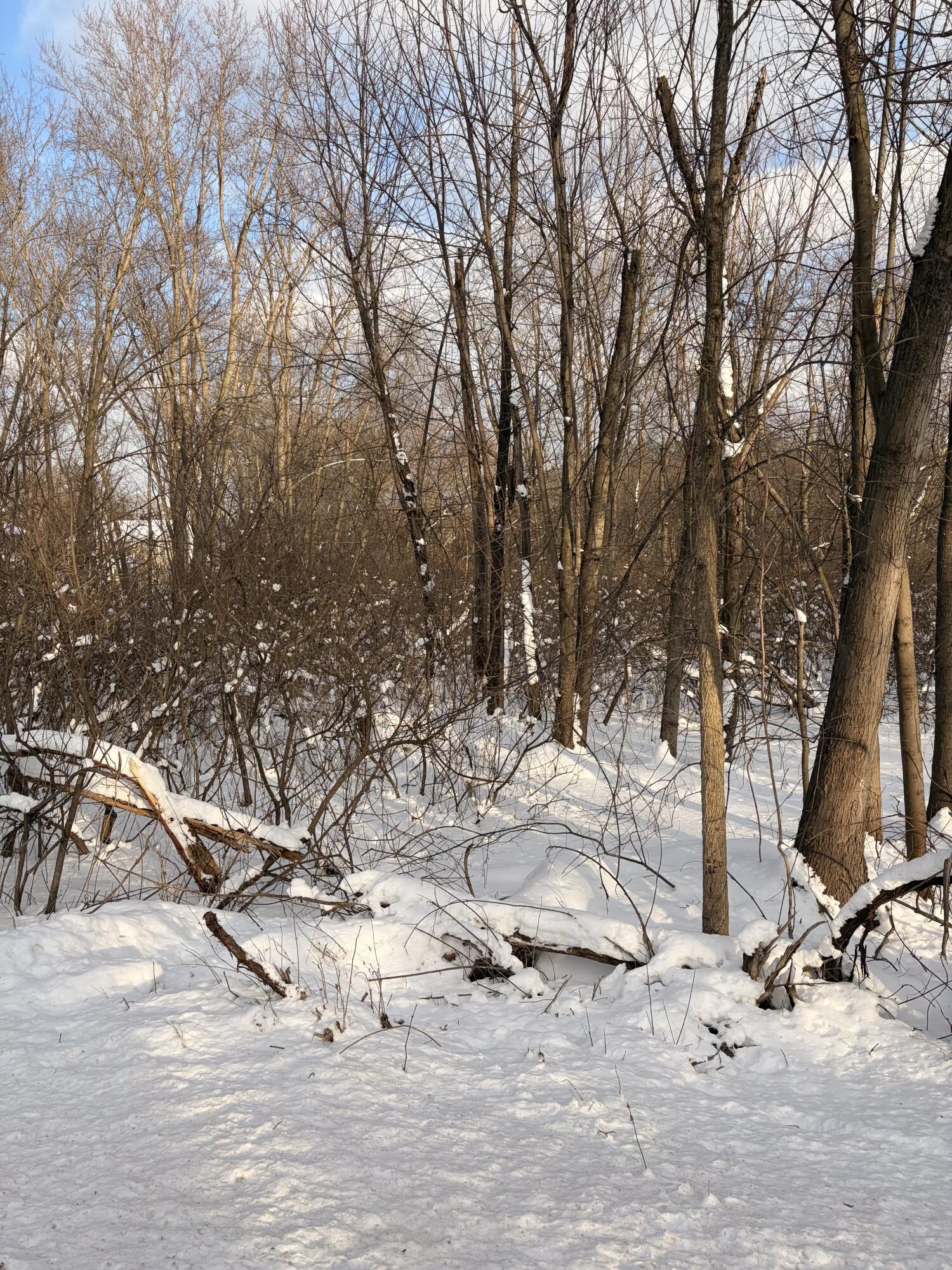Tbd Union Avenue Chesterton, IN 46304 - Photo 2 of 5 a view of covered with snow