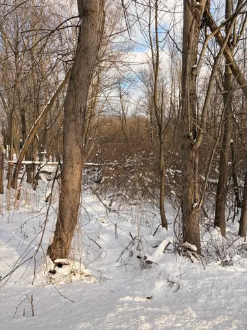 a view of a yard covered with snow