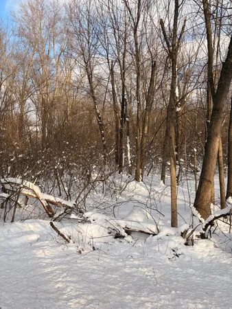 a view of covered with snow
