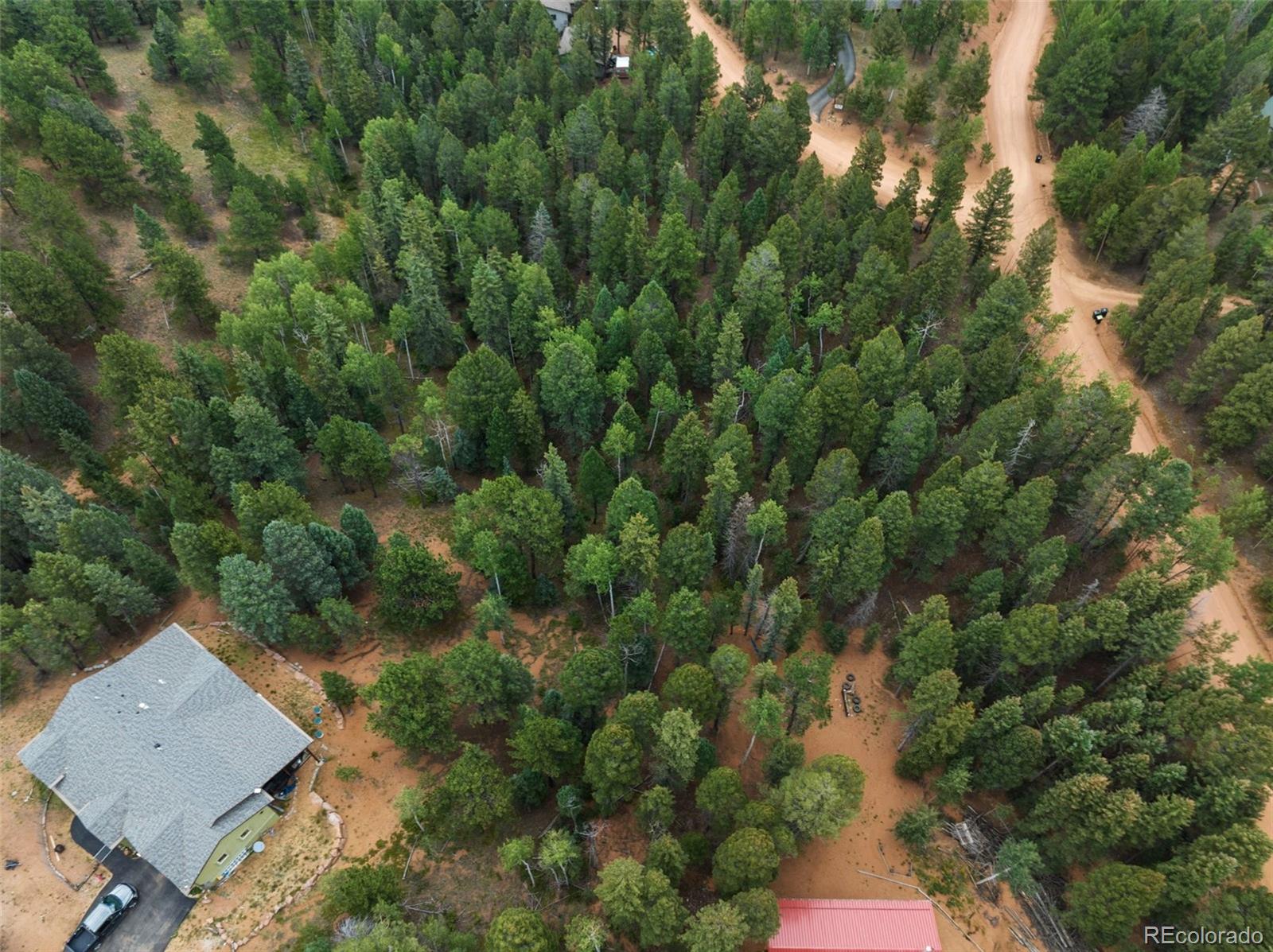 810 Ridge Road Divide, CO 80814 - Photo 21 of 27