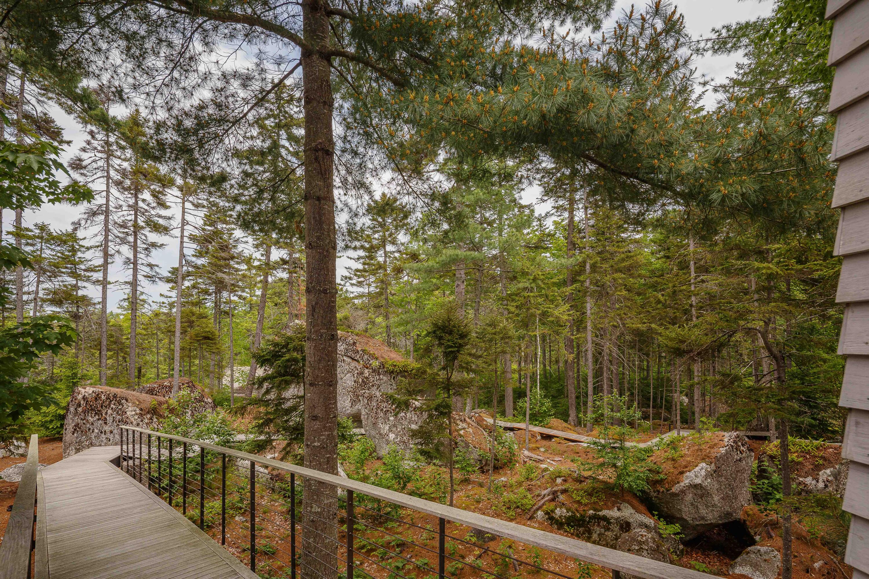 12 Moose Tuchus Point Dedham, ME 04429 - Photo 52 of 66 View From House Down Walkway