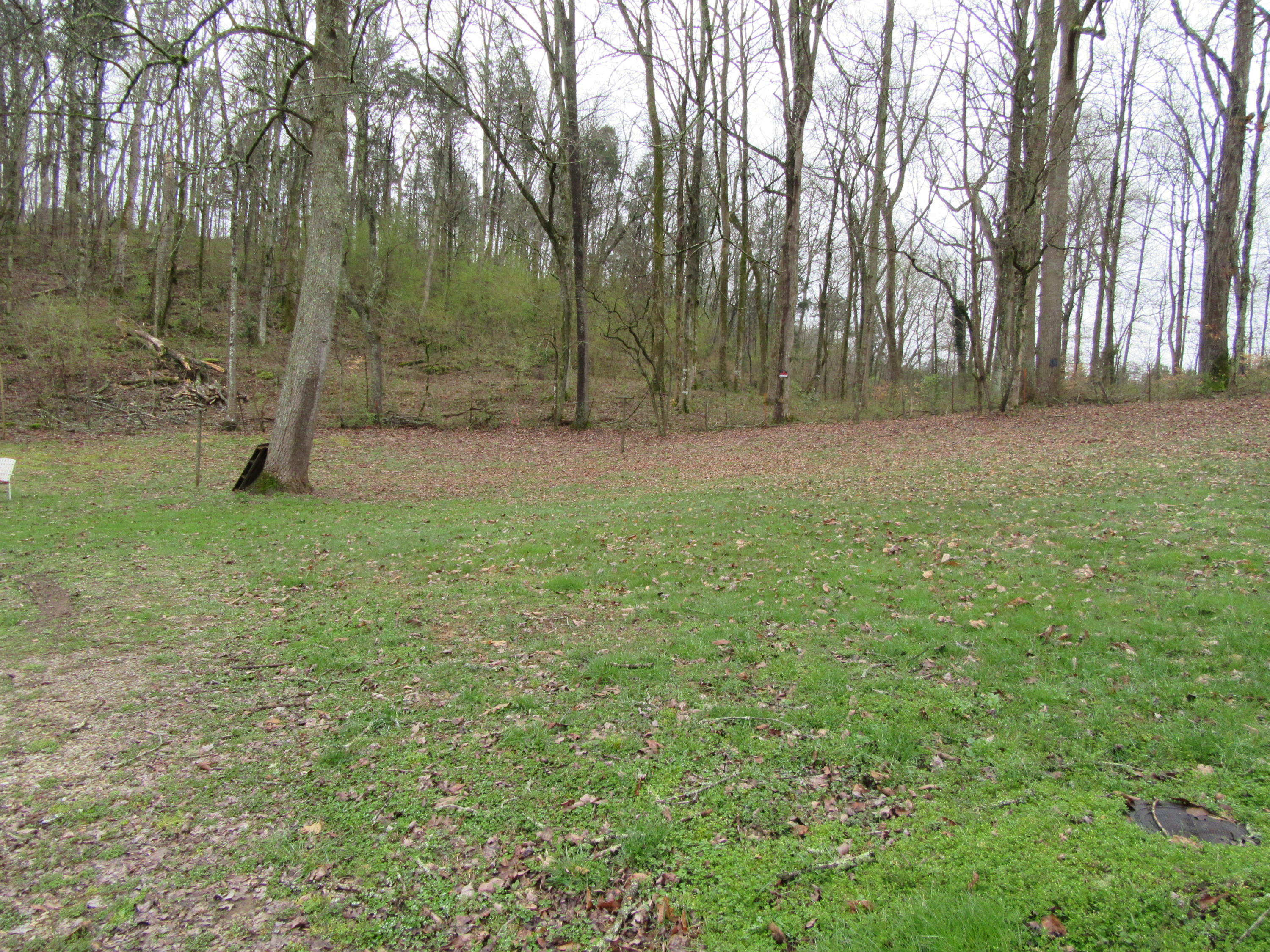 1451 Ridgeview Drive Clinton, TN 37716 - Photo 4 of 21 IMG_0319