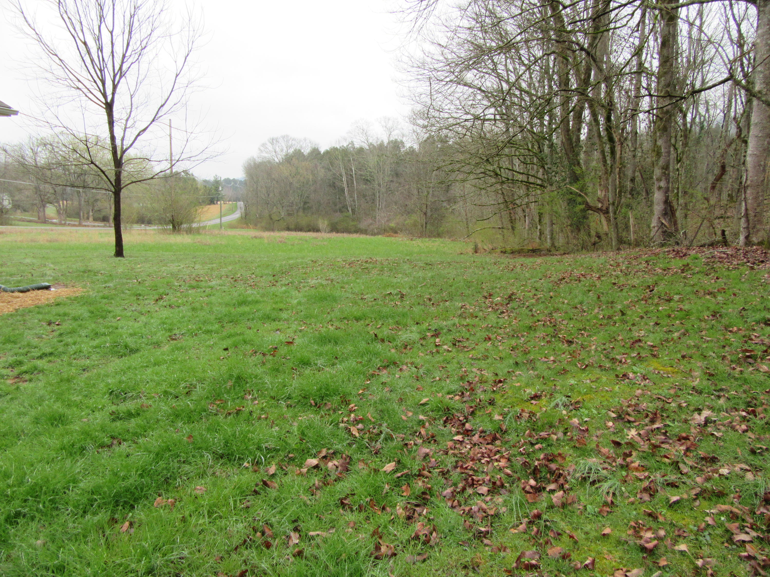 1451 Ridgeview Drive Clinton, TN 37716 - Photo 7 of 21 IMG_0322