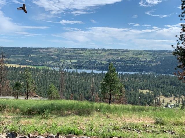 6537 Pine Ridge Way Nine Mile Falls, WA 99026 - Photo 6 of 48