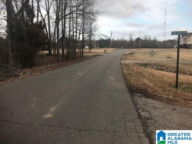 3 Cannie Phillips Road, Unit ACERAGE Sumiton, AL 35148 - Photo 3 of 4