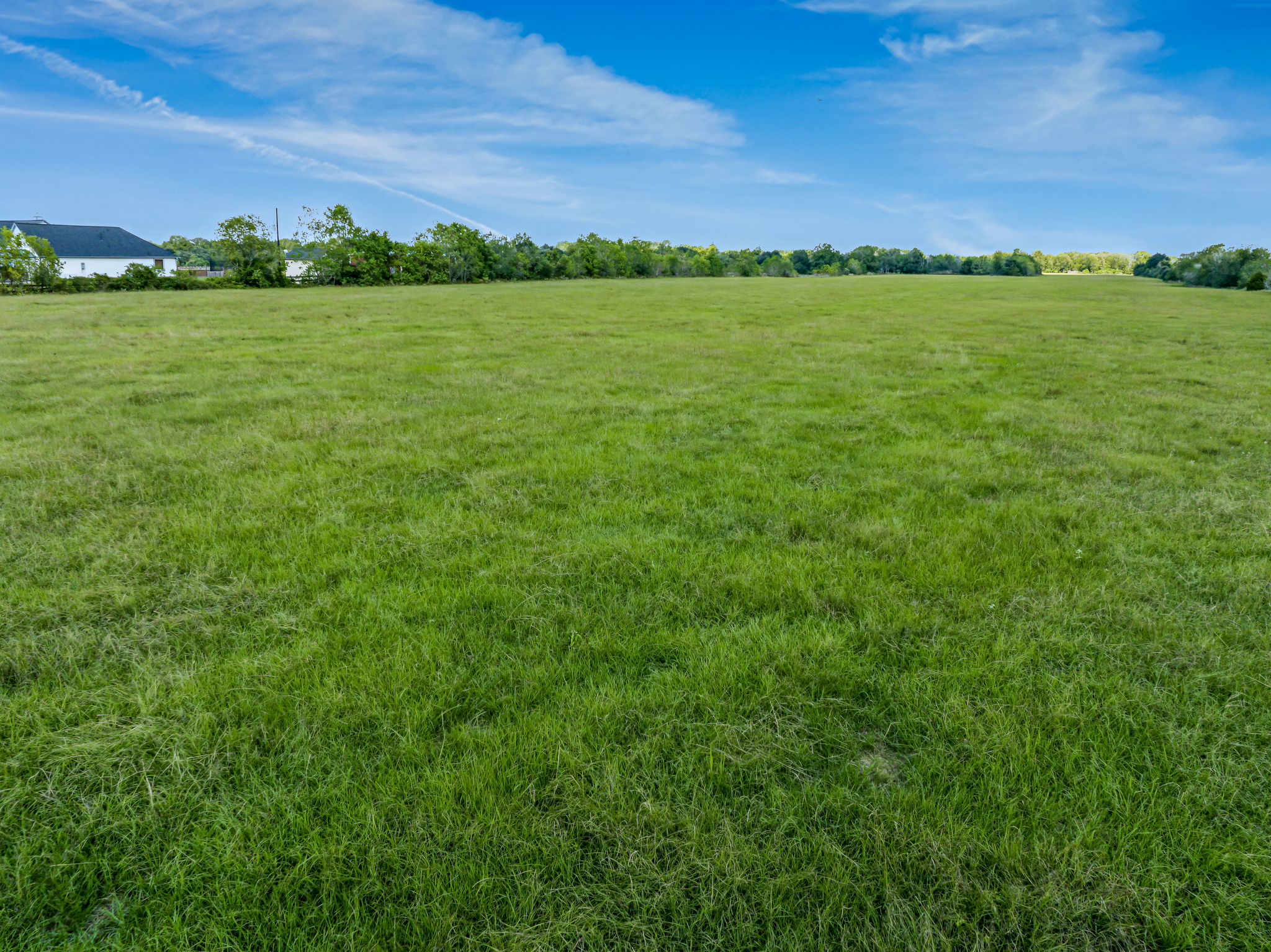 37280 Clapp Road Brookshire, TX 77423 - Photo 32 of 34 A vast green pasture stretches toward a tree-lined horizon under a bright blue sky.