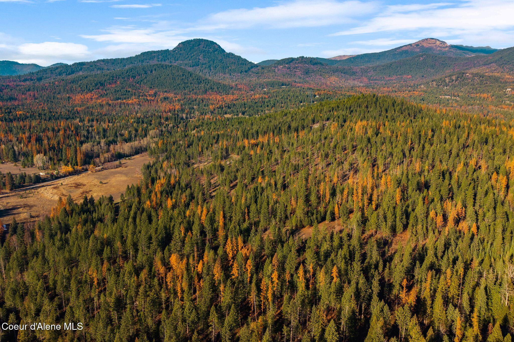 Lot 3 Wrenco Loop Sandpoint, ID 83864 - Photo 24 of 26 .