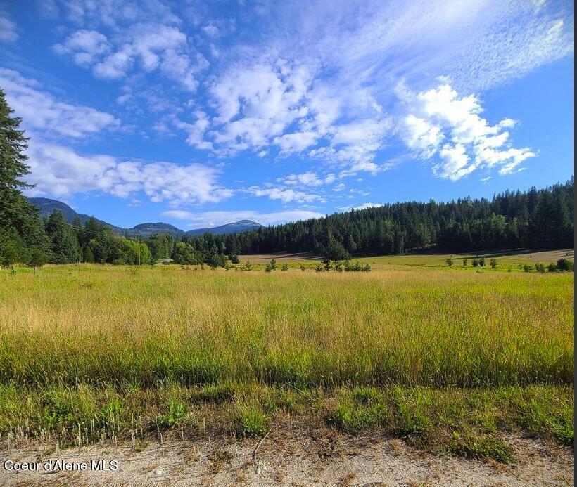 Lot 3 Wrenco Loop Sandpoint, ID 83864 - Photo 8 of 26 16