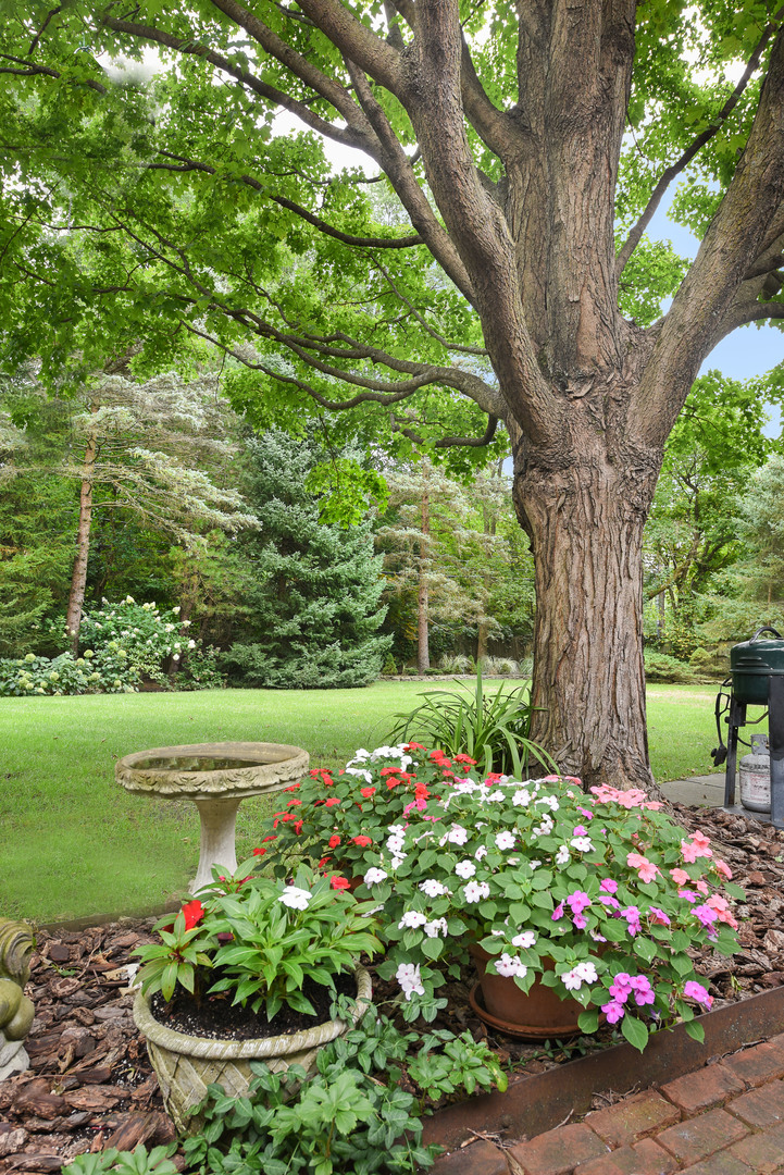 111 Apple Tree Road Winnetka, IL 60093 - Photo 29 of 34