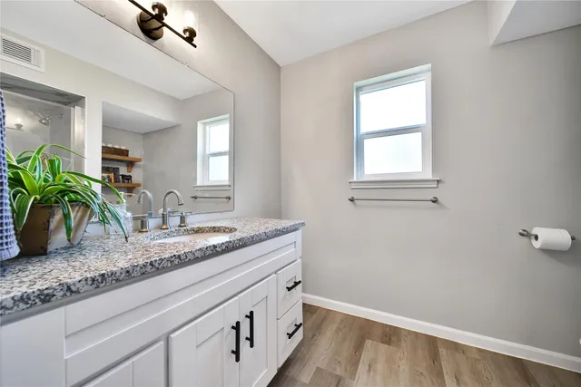 a bathroom with a granite countertop sink a potted plant and a window