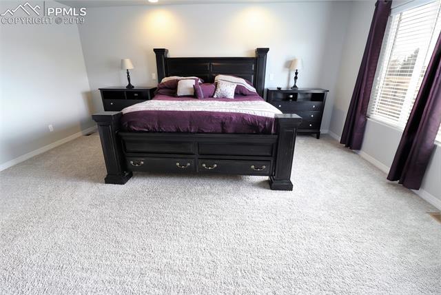 2445 Reed Grass Way Colorado Springs, CO 80915 - Photo 20 of 36 Gallery Image 20
