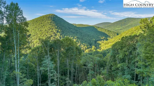 a view of a lush green hillside and a houses