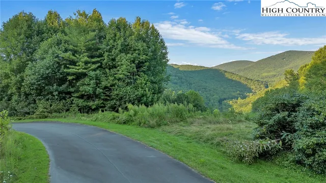 a view of a field with a tree
